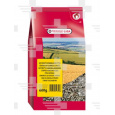 VL Sunflowerseeds Striped - Slnečnica pásikavá 600 g