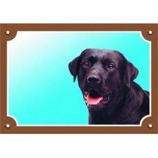 Farebná ceduľka Pozor pes, Labrador čierny