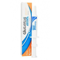 Glutamax forte pasta 15ml Glutamax forte pasta 15ml