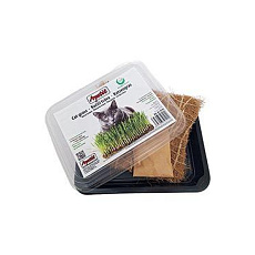 Apetit mačacia tráva, pestovacia miska, kokosová rohož 30g Apetit mačacia tráva, pestovacia miska, kokosová rohož 30g