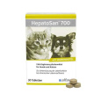 HepatoSan 700 mg 21 g (30 ks)