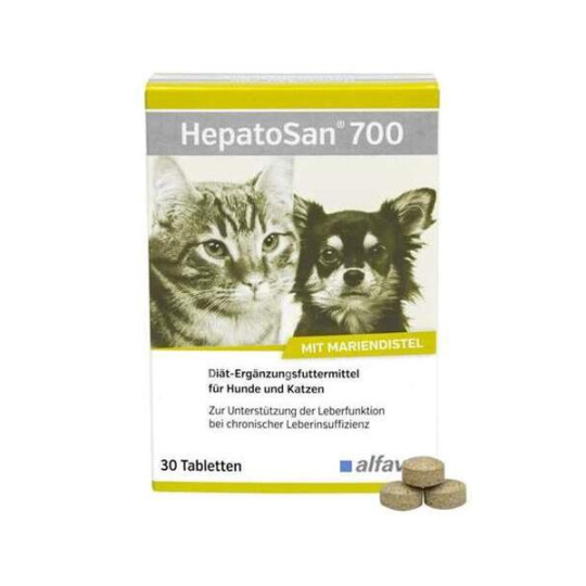 HepatoSan 700 mg 21 g (30 ks)