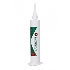 Lactiferm Fe pasta 80ml
