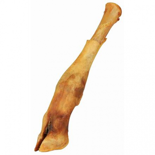 Jahňacia nožka - 1 ks/18 cm