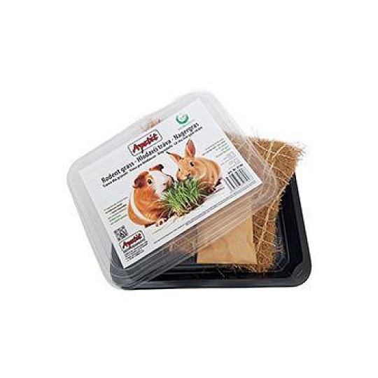 Apetít hlodavčia tráva, pestovacia miska, kokosová rohož 30g Apetít hlodavčia tráva, pestovacia miska, kokosová rohož 30g