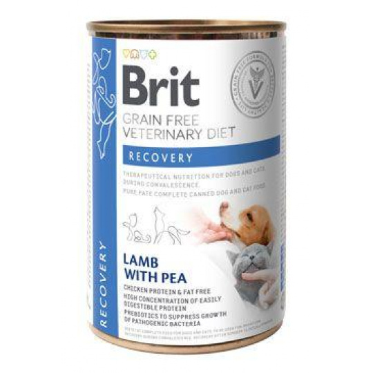 Brit VD Dog+Cat GF konz Recovery 400g