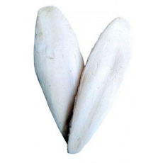 Kost sépiová 20cm (+/-3cm) 10ks Kost sépiová 20cm (+/-3cm) 10ks