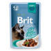 Brit Premium Cat D Fillets in Gravy With Beef 85g