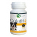 Colafit 4 na kĺby pre psy čierne/biele 50tbl