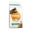 Iams Cat Adult Chicken 2kg